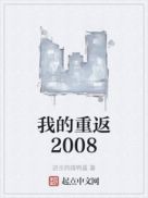 我的重返2008