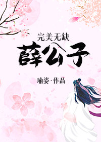 完美无缺薛公子