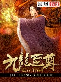 九龙至尊