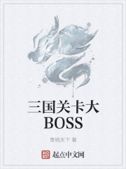 三国关卡大BOSS